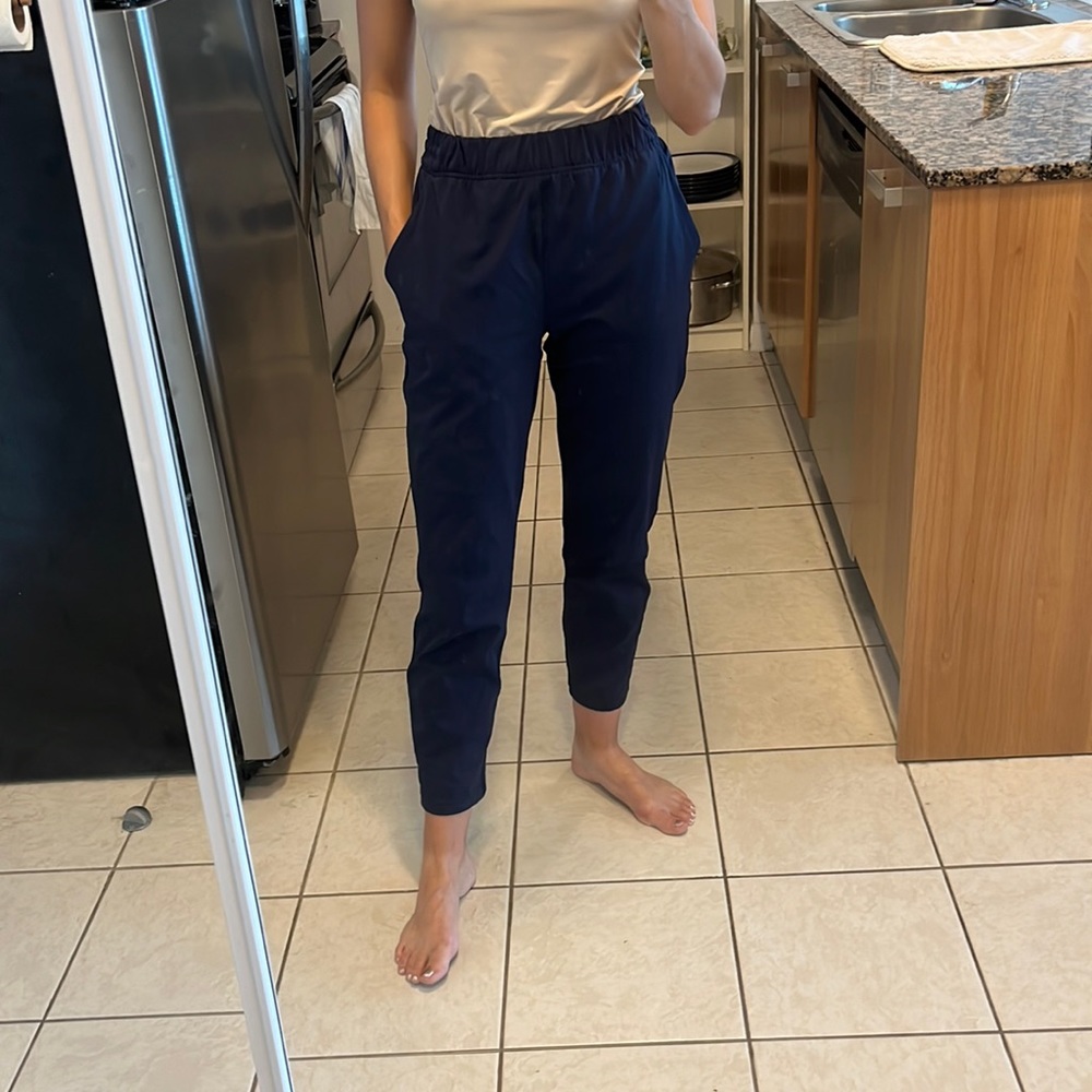 Babaton weekender pants